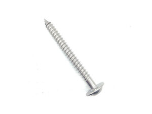 Self Tapping Screw