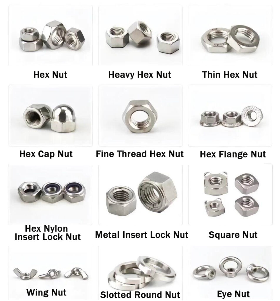 nut types