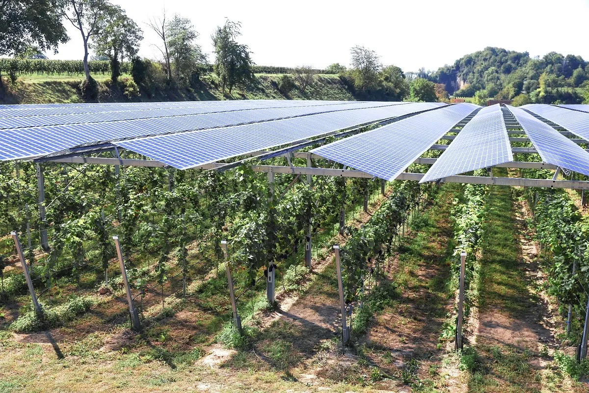 solar farm mounting system