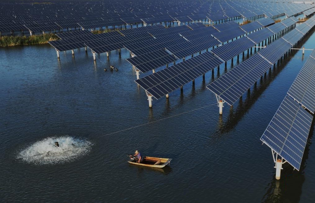 Fishery-Solar Hybrid